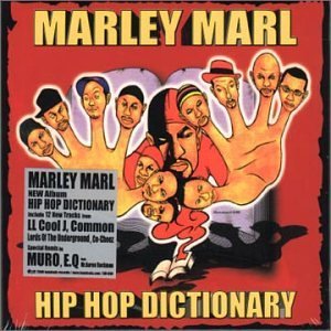 HIP HOP DICTIONARY (LIMITED EDITION)