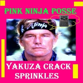 PINK NINJA POSSE YAKUZA CRACK SPRINKLES (BEATS 207 - 222)